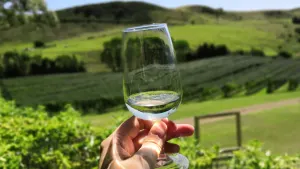 A Taste of Wairarapa